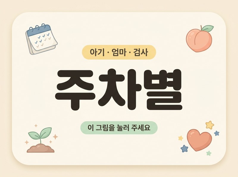 주차별 — 임신 주차마다 아기와 엄마 몸의 변화, 이번 주 검사와 할 일을 봅니다